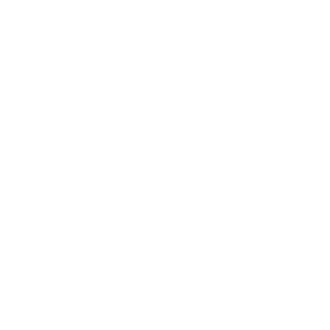 Icon zum Reifenwechsel
